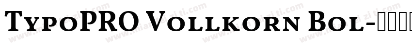 TypoPRO Vollkorn Bol字体转换